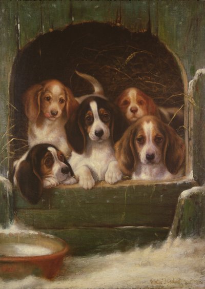 مريح مثل حشرة في سجادة بواسطة عيد الحب توماس جارلاند